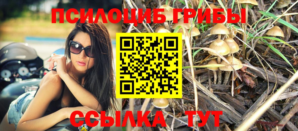 Галлюциногенные грибы Magic Shrooms  Вход с VPN  закладка  Луга 